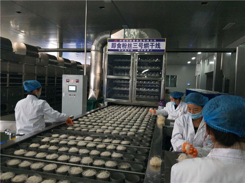 開辦粉條加工廠設備如何選擇